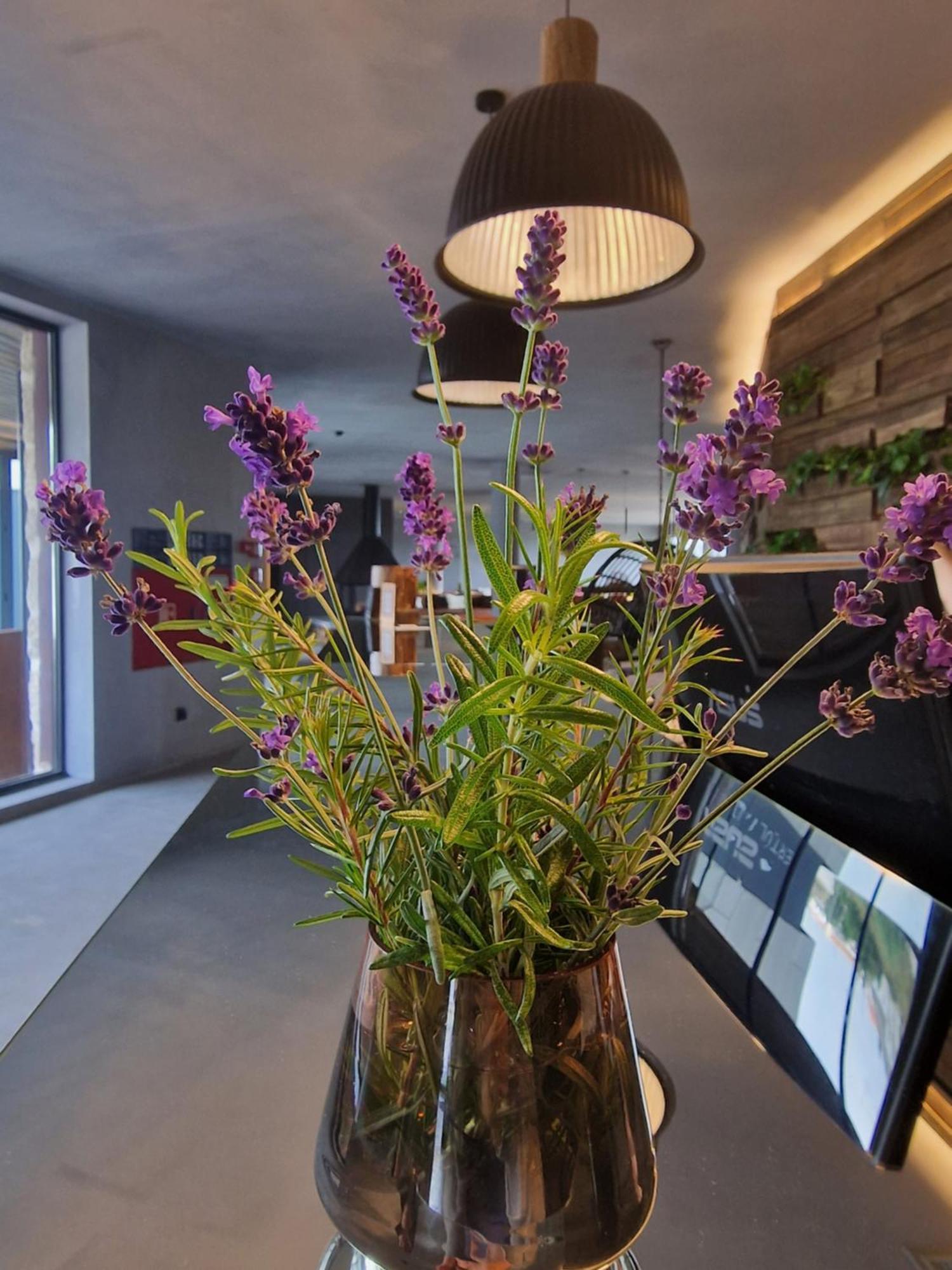 Puro Dao Hotel & Spa Nelas Dış mekan fotoğraf